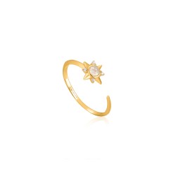 Bague Femme Ania Haie R026-03G (13)