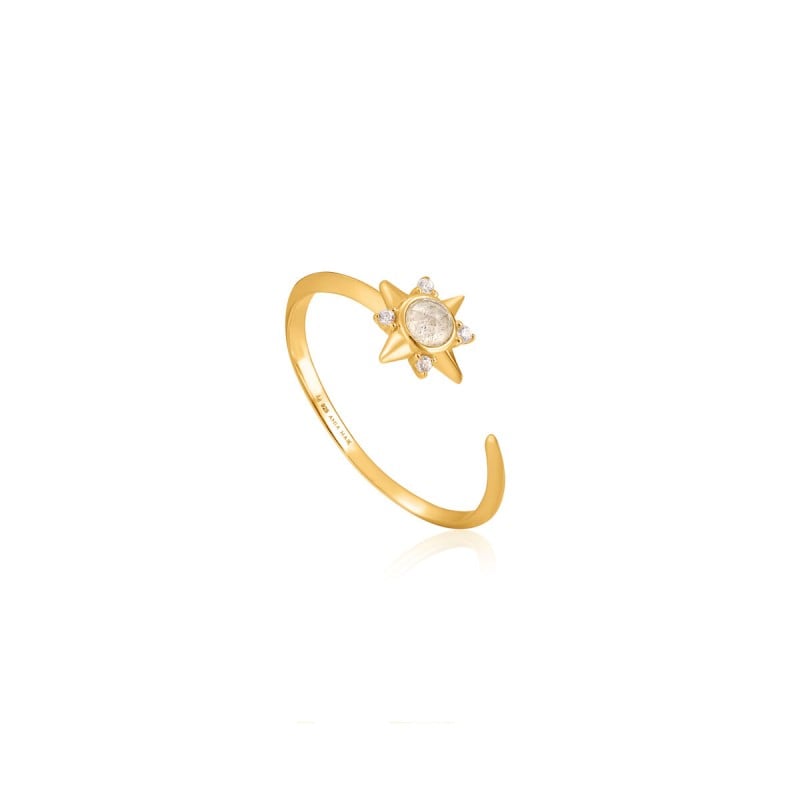 Bague Femme Ania Haie R026-03G (13)