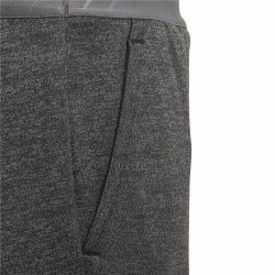 Pantalons de Survêtement pour Enfants Adidas  Nemeziz Gris foncé