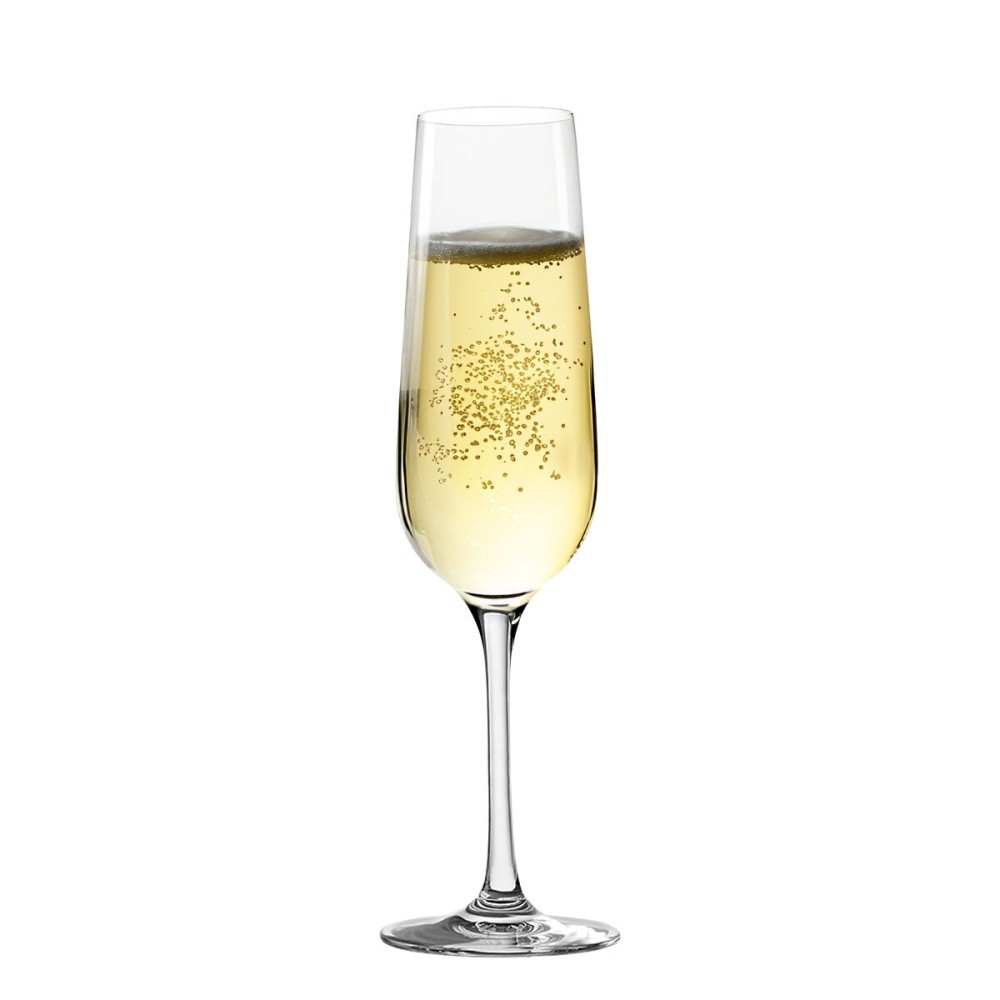 Coupe de champagne Inde Sensation Ø 5 cm 220 ml 6 Pièces