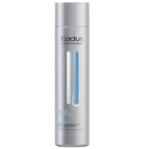 Shampooing Kadus Purifying 250 ml