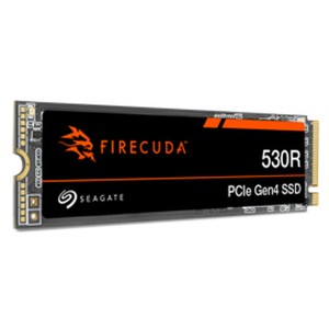 Festplatte Seagate ZP1000GM3A063 1 TB SSD