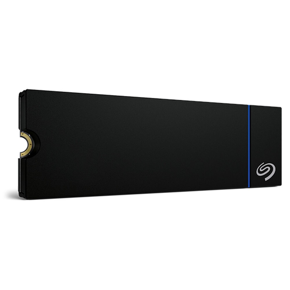 Festplatte Seagate ZP1000GP3A4001 1 TB SSD