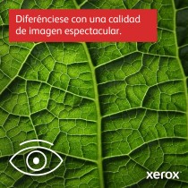 Laser Printer Xerox C415V_DN