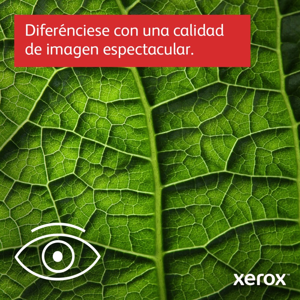 Laser Printer Xerox C415V_DN