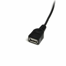 Câble USB A vers USB B Startech USBMUSBFM1 
