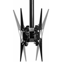 Support de table d'écran Neomounts BT8390-100/B V2