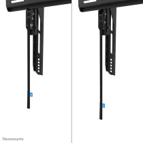 Support de TV Neomounts WL35-750BL18 43"
