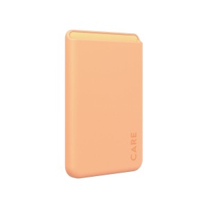 Protection pour téléphone portable Panzer Glass 1446 Transparent Apple
