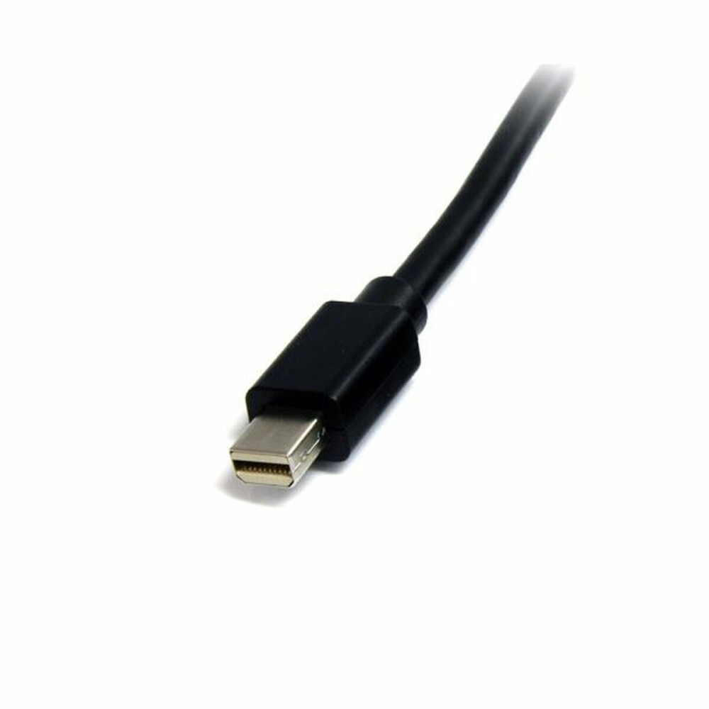 Mini Display Port cable Startech MDISP2M (2 m) 4K Ultra HD Black