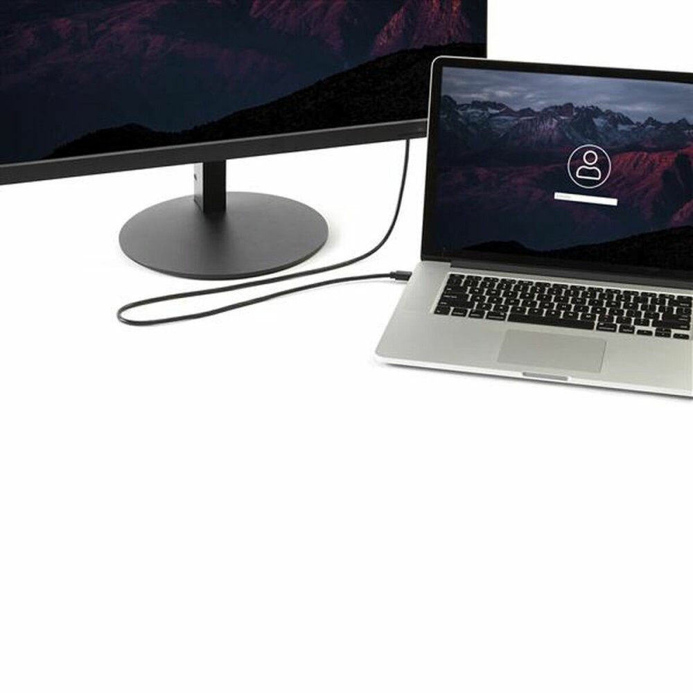 DisplayPort-Kabel Startech MDP2DPMM10 3 m 4K Ultra HD Schwarz