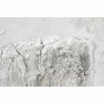 Cadre DKD Home Decor Toile 100 x 3,8 x 100 cm Arbres Cottage (2 Unités)