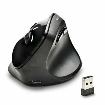 Souris NGS