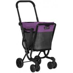 Gemüsewagen PLAY EASY GO GREY PURPLE 24966 783