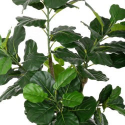 Dekorationspflanze Polyurethan Zement Ficus 175 cm