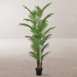 Dekorationspflanze Polyurethan Zement Areca 210 cm