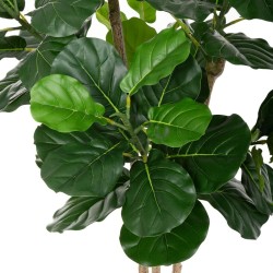 Dekorationspflanze Polyurethan Zement Ficus 175 cm