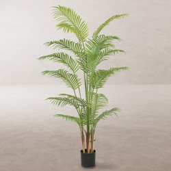 Dekorationspflanze Polyurethan Zement Areca 180 cm