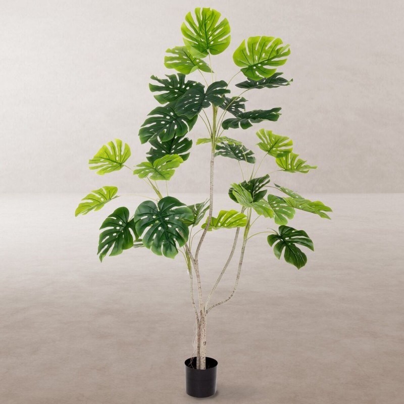 Plante décorative Polyuréthane Ciment Monstera 180 cm