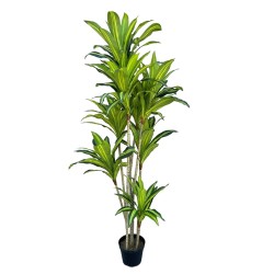 Plante décorative Polyuréthane Ciment 180 cm