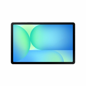 Tablette Samsung 10,9" 12 GB RAM 256 GB Gris