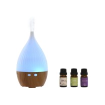 Diffuseur d'Huiles Essentielles Home ESPRIT Urbaine 10 ml (4 Pièces)