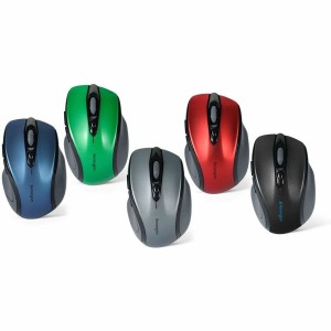 Souris Kensington K72422WW 