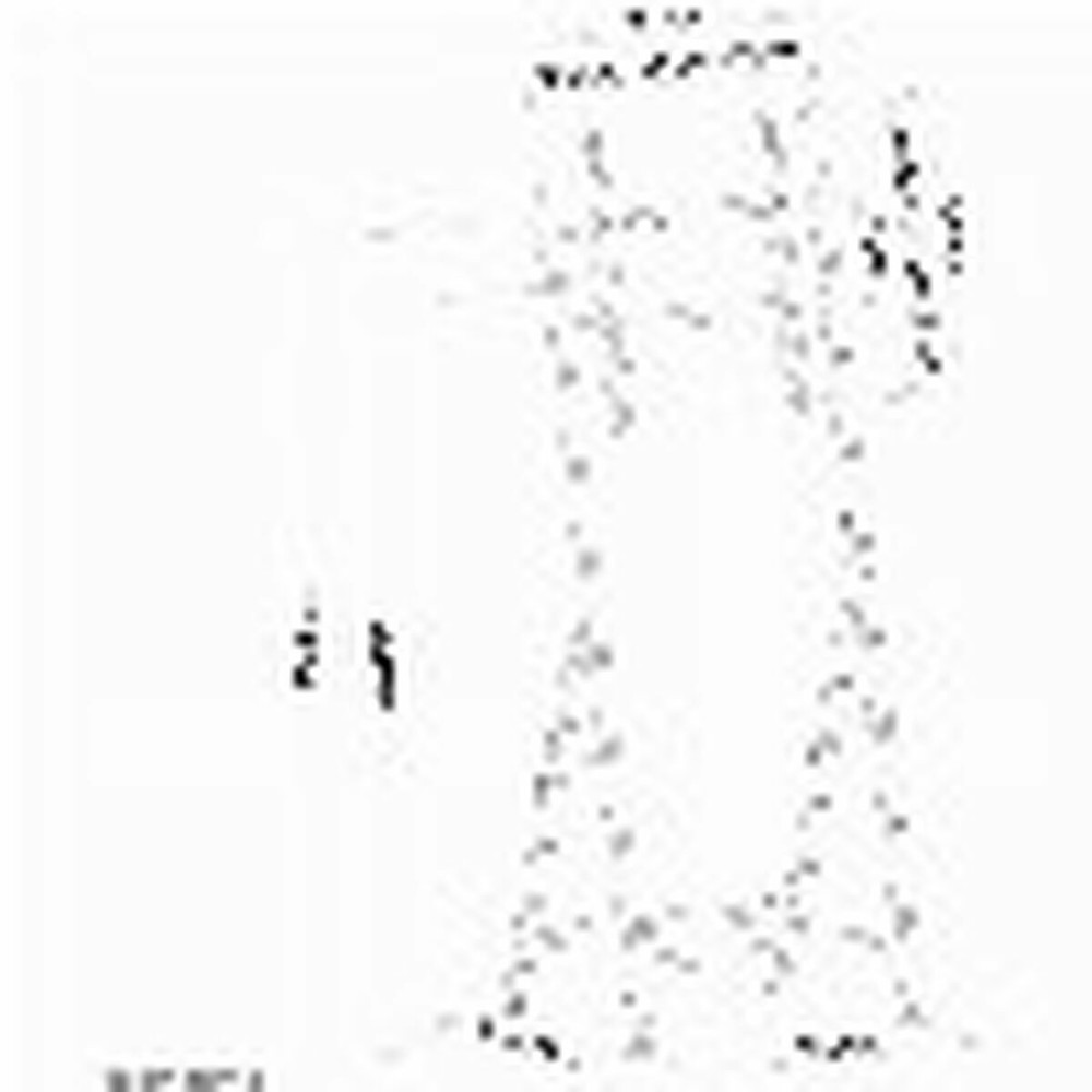 TV Halterung Neomounts PLASMA-M1000 32" 55" 35 kg