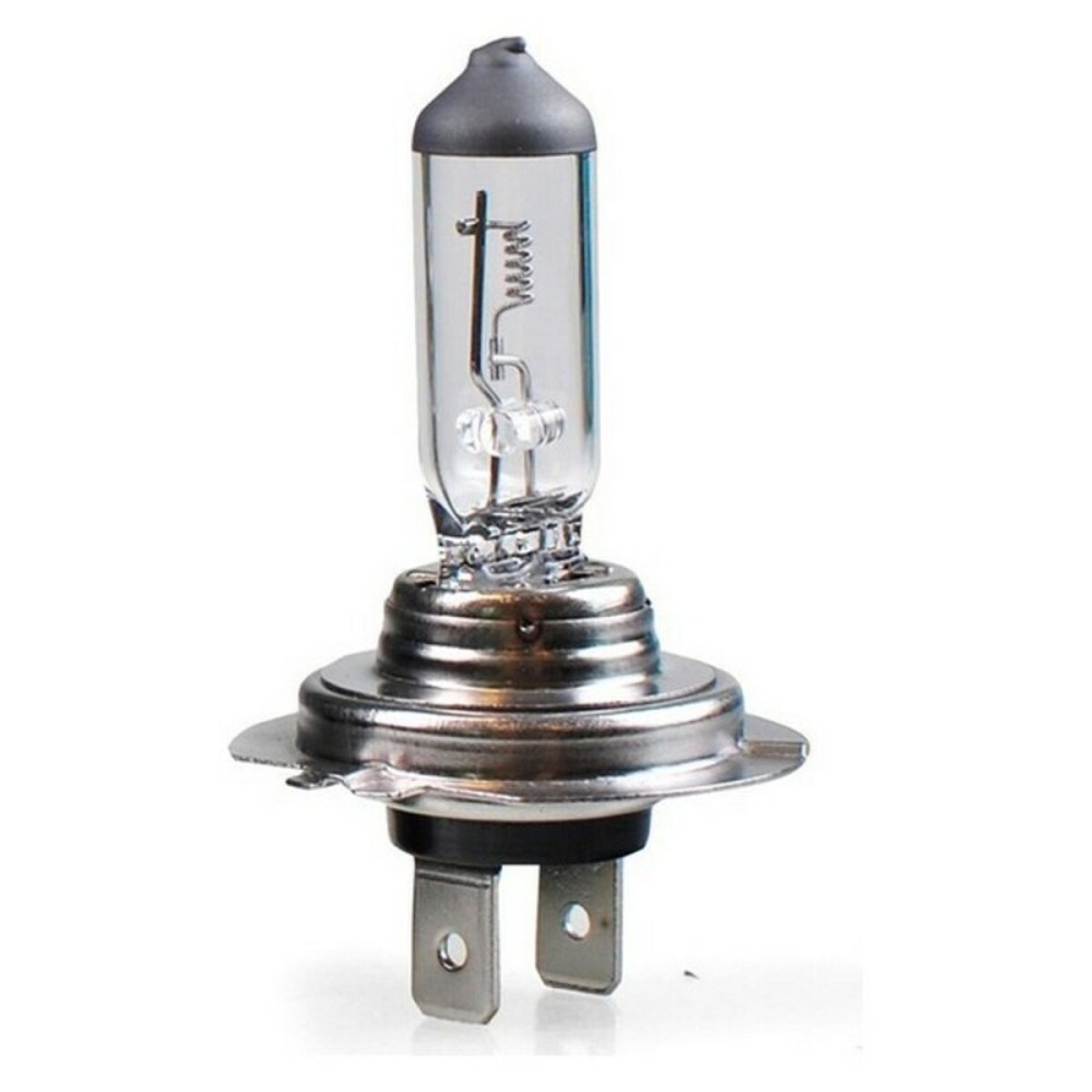 Light bulb M-Tech Z904 24v 70W H7