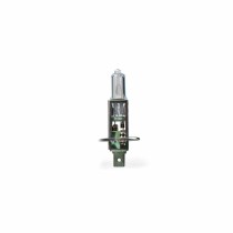 Light bulb M-Tech Z101 55 W H1 Halogen 12 V