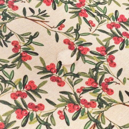 Nappe enduite antitache Belum Mistletoe Multicouleur 300 x 150 cm