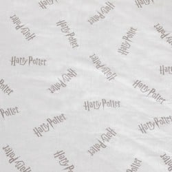 Taie d'oreiller Harry Potter Multicouleur