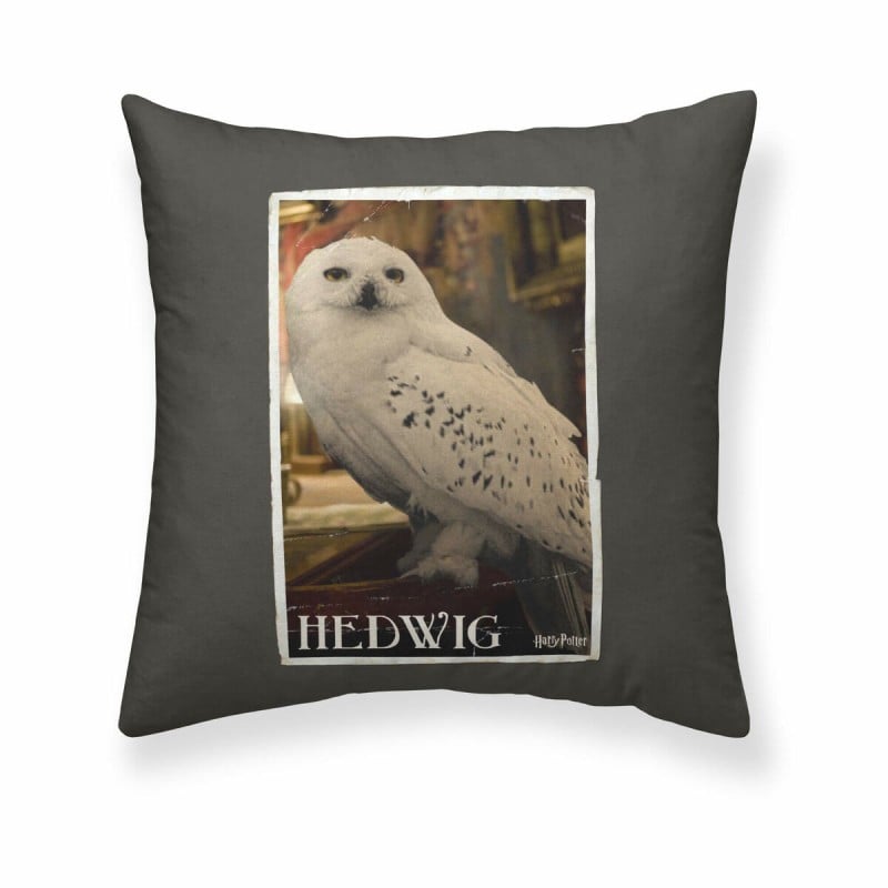 Housse de coussin Harry Potter Hedwig Multicouleur 50 x 50 cm