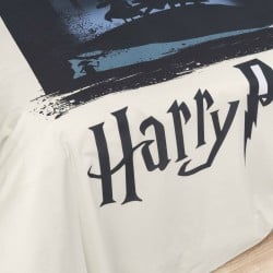 Bettdeckenbezug Harry Potter Bunt 175 Fäden 155 x 220 cm Einzelmatratze