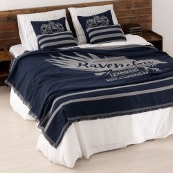 Blanket Ravenclaw Values Multicolour 130 x 2 x 170 cm