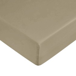 Fitted bottom sheet Decolores Liso Brown Super king