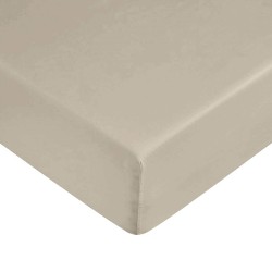 Fitted bottom sheet Decolores Liso Brown Super king