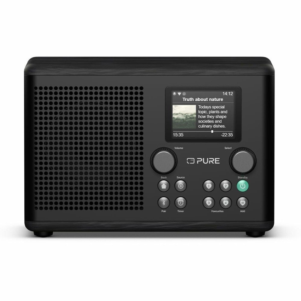 Tragbares Radio Pure PURE CLASSIC H4I