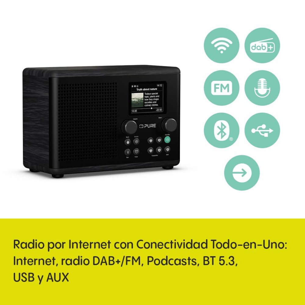 Tragbares Radio Pure PURE CLASSIC H4I