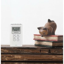 Transistor Radio Sangean DT-120 White