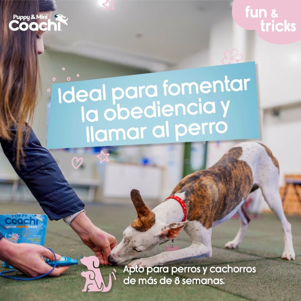Hundegeschirr Coachi