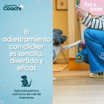 Hundegeschirr Coachi