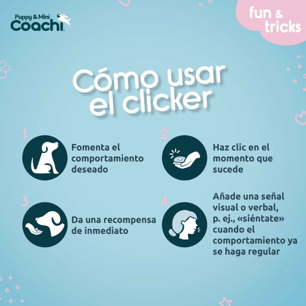 Hundegeschirr Coachi