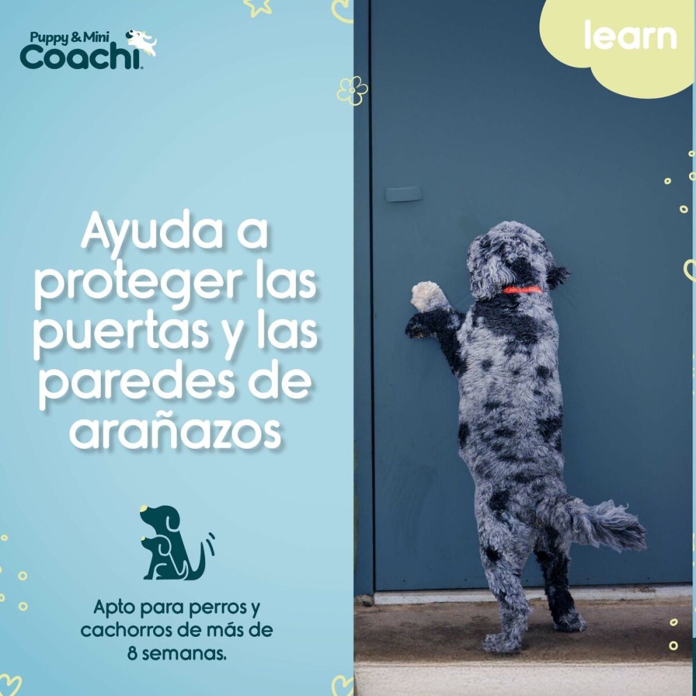 Hundegeschirr Coachi