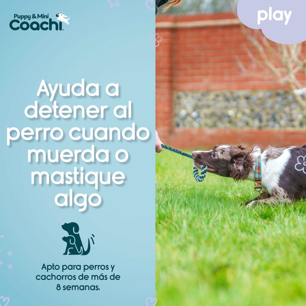Hundegeschirr Coachi