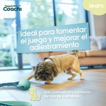 Hundegeschirr Coachi