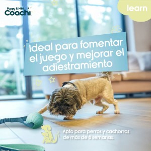Hundegeschirr Coachi