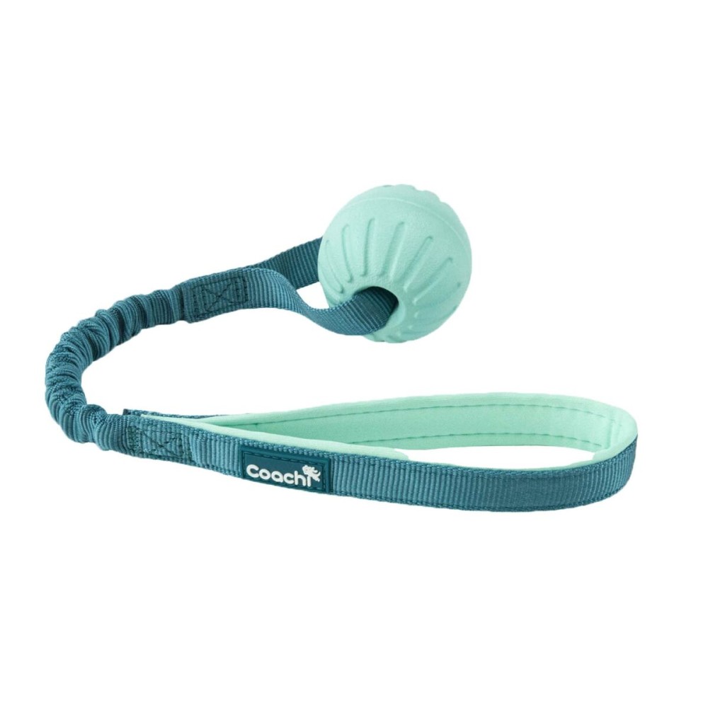 Hundegeschirr Coachi