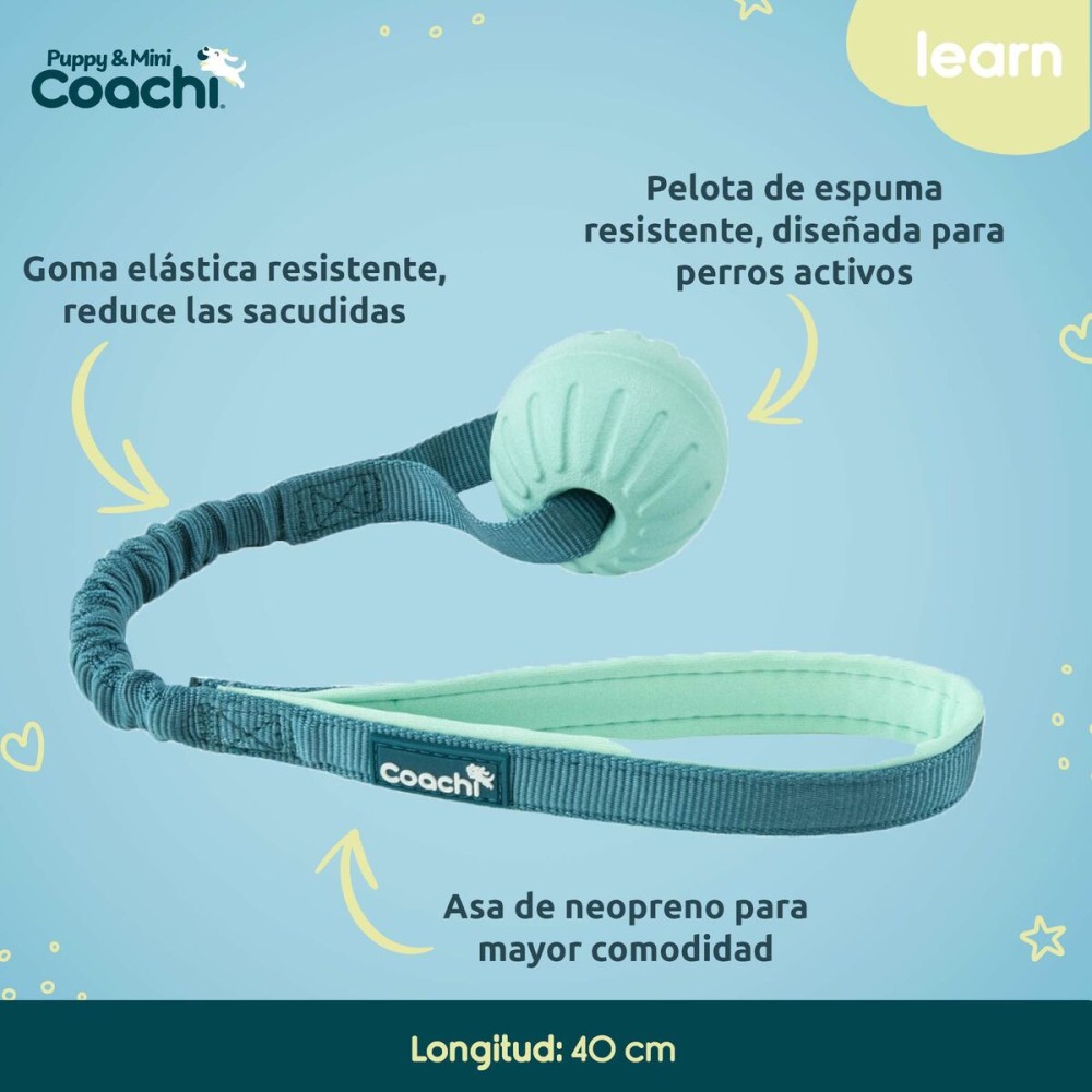 Hundegeschirr Coachi