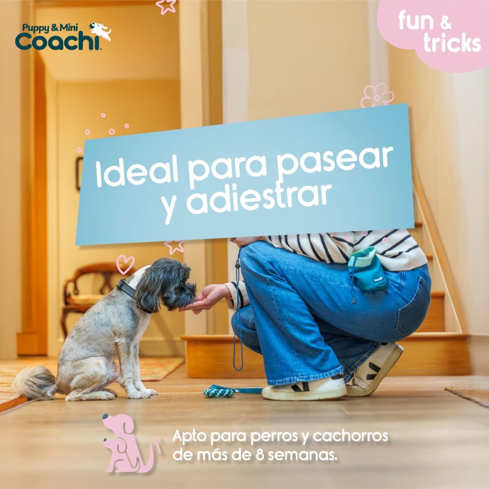 Hundegeschirr Coachi